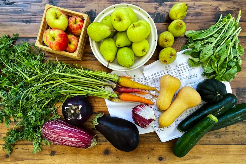 Harvest Boxes